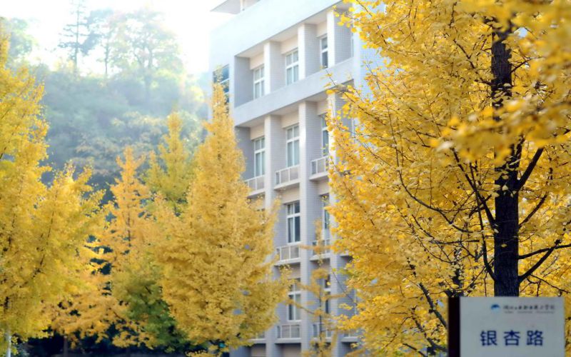 湖北工業職業技術學院高職單招