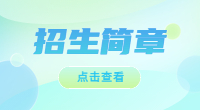 2023年武漢城市職業學院高職單招招生計劃