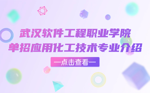 武漢軟件工程職業(yè)學院單招應用化工技術專業(yè)介紹