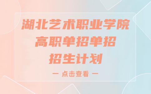2024年湖北藝術職業學院高職單招單招招生計劃