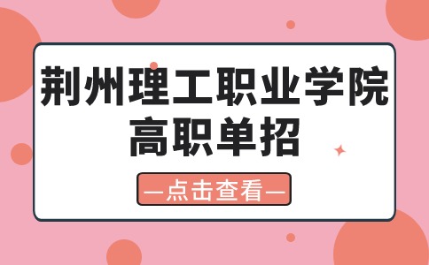 2024年荊州理工職業學院高職單招總分多少?