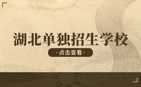 2024年湖北單獨招生學(xué)校