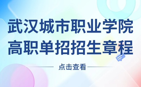 武漢城市職業學院2024年高職單招招生章程